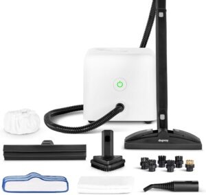 Dupray Neat Steam Cleaner for Home